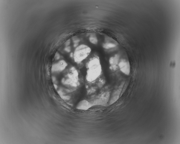 X0000112011106200909141119