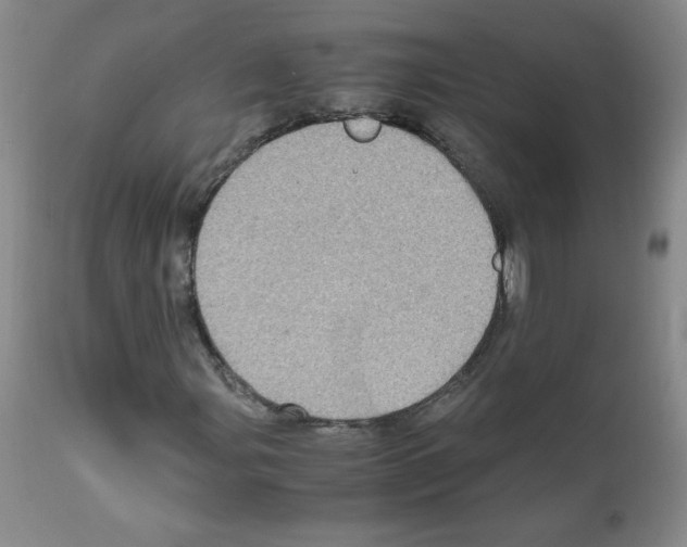 X0000112011107200909141119