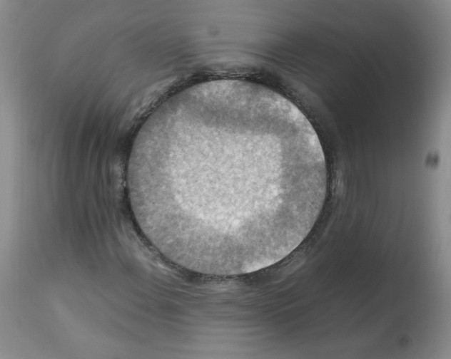 X0000112011108200909141119