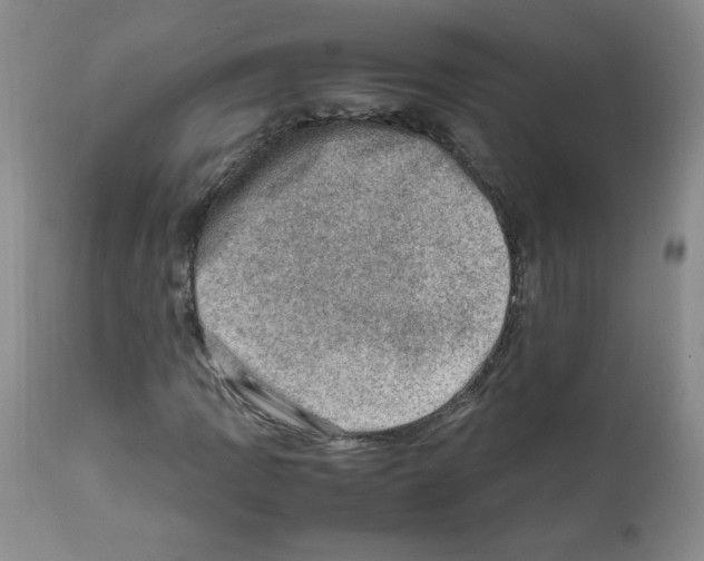 X0000112011109200909141119