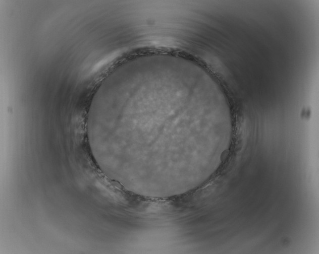 X0000112011110200909141119
