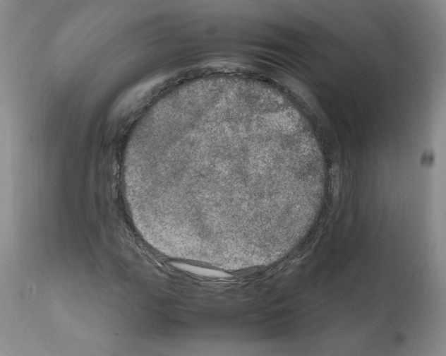 X0000112011111200909141119