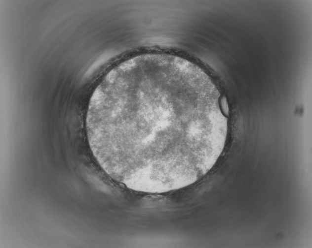 X0000112011112200909141119