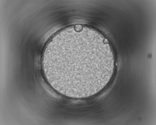 X0000112011113200909141119
