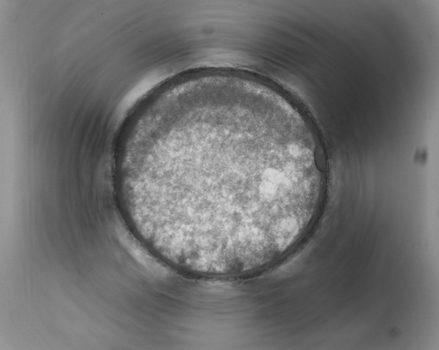 X0000112011114200909141119