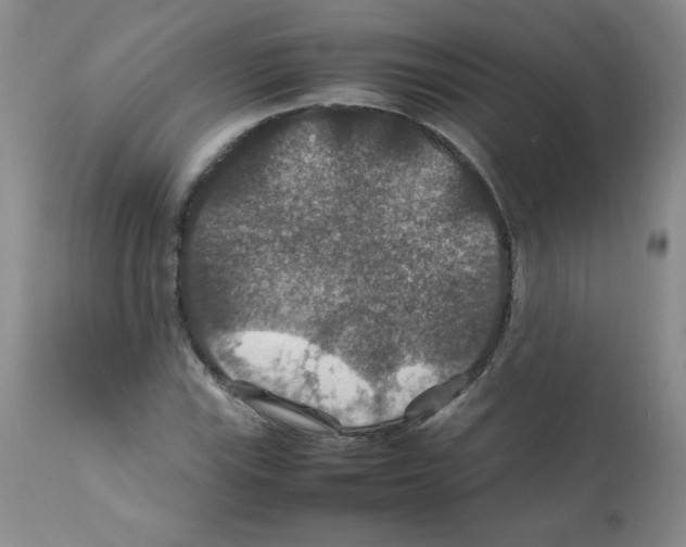 X0000112011115200909141119