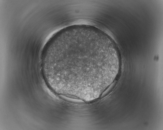 X0000112011116200909141119