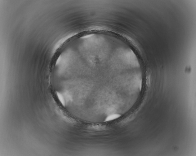 X0000112011117200909141119
