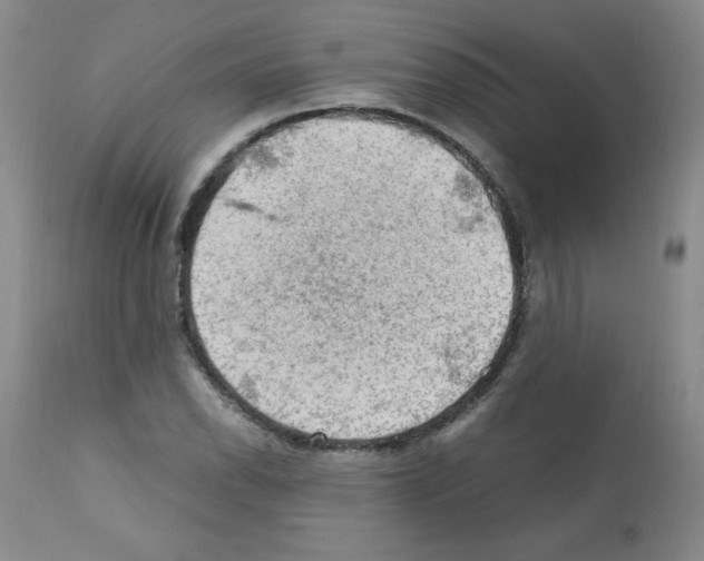 X0000112011118200909141119