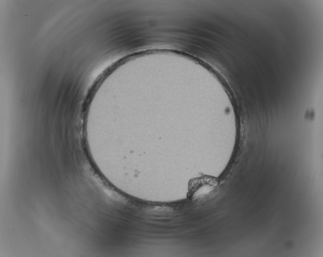 X0000112011119200909141119
