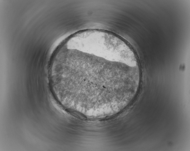 X0000112011120200909141119