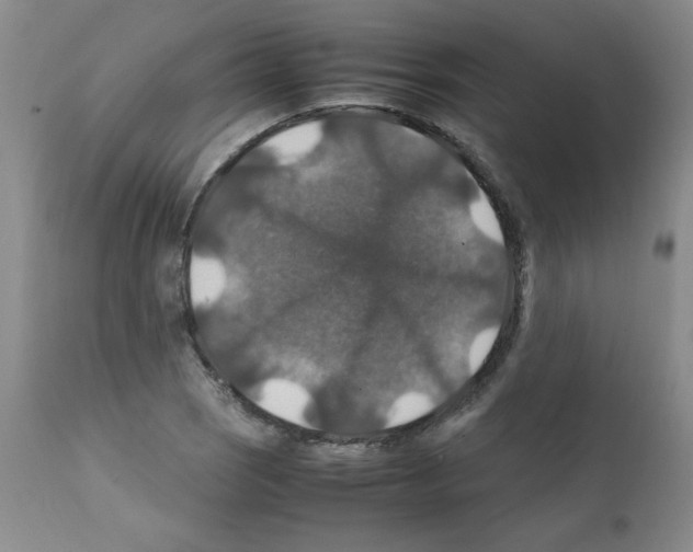 X0000112011121200909141119