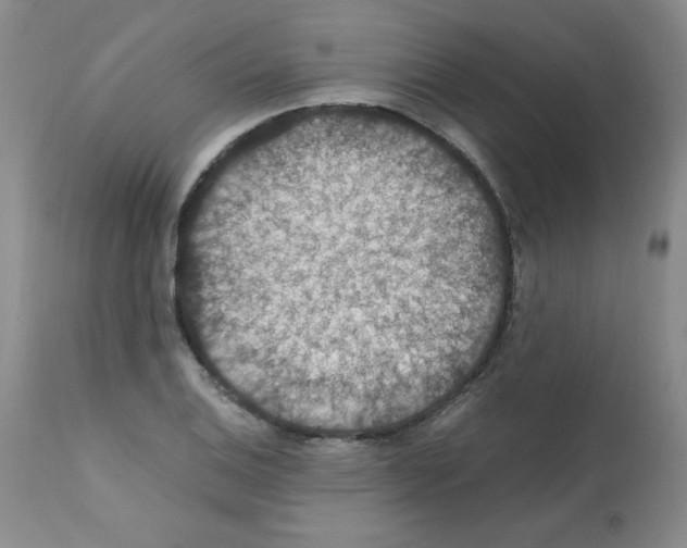 X0000112011124200909141119