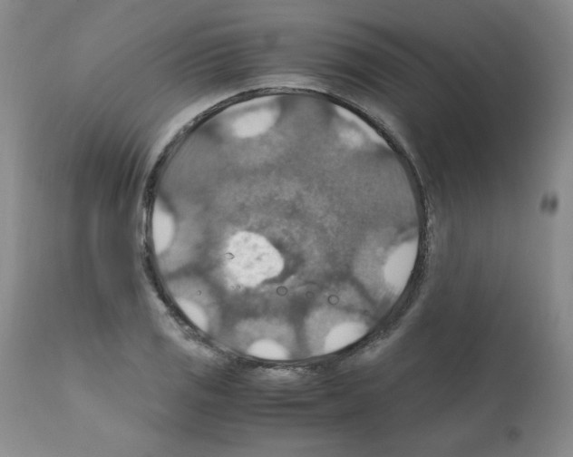 X0000112011125200909141119