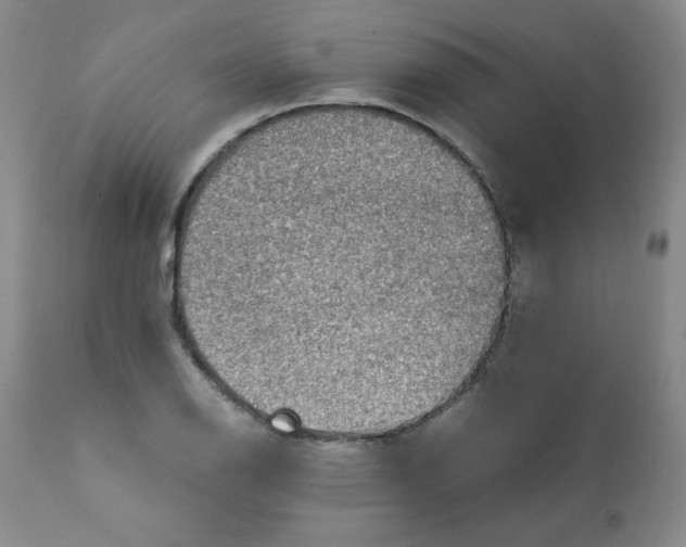 X0000112011126200909141119