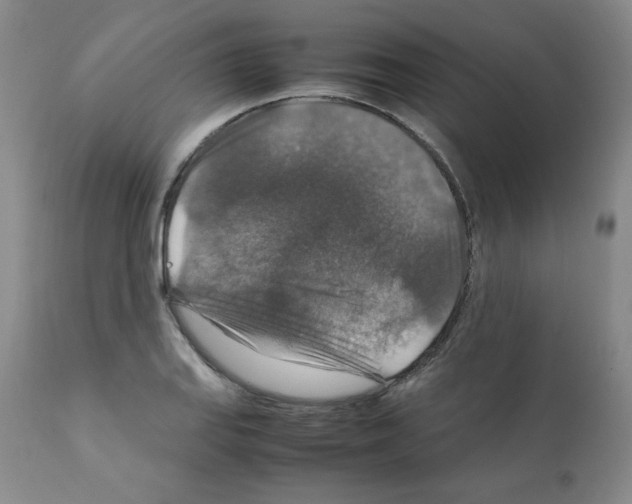 X0000112011127200909141119