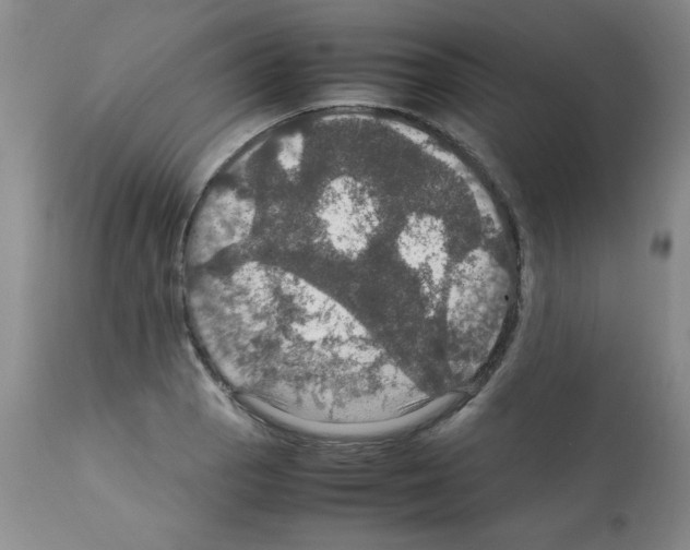 X0000112011129200909141119
