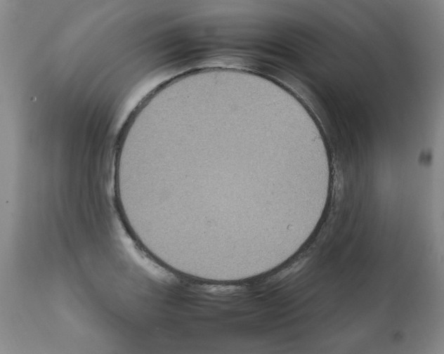 X0000112011131200909141119