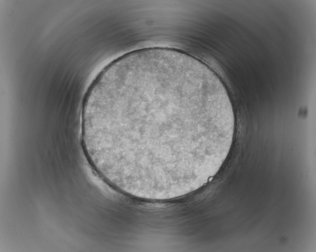 X0000112011132200909141119