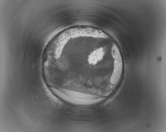 X0000112011133200909141119