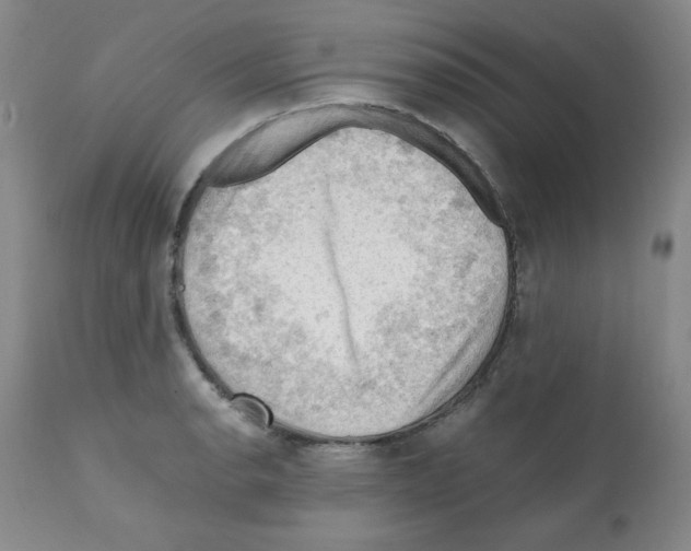 X0000112011134200909141119