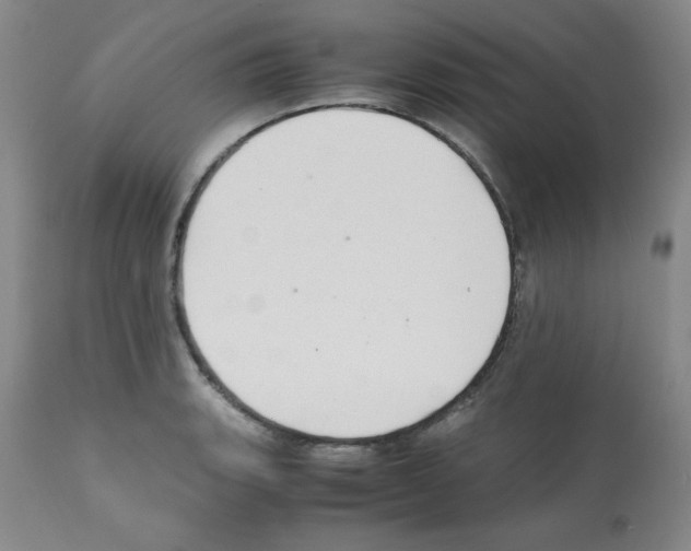 X0000112011135200909141119