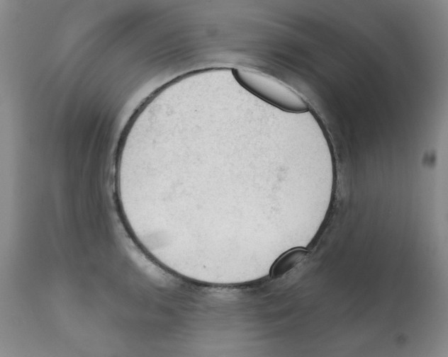 X0000112011136200909141119
