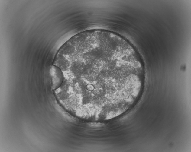 X0000112011137200909141119