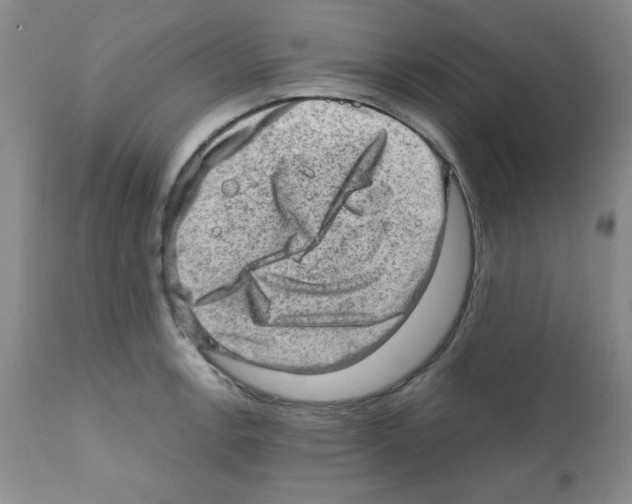 X0000112011138200909141119