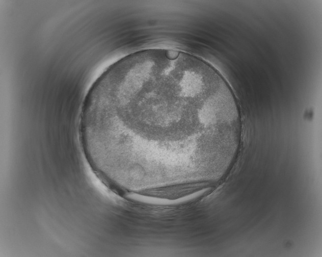 X0000112011139200909141119