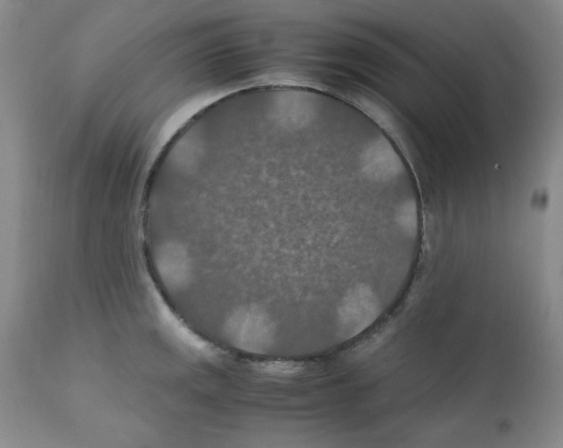 X0000112011141200909141119