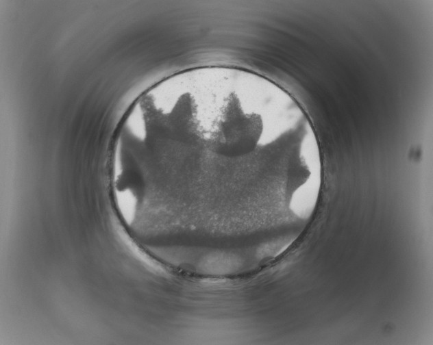 X0000112011142200909141119