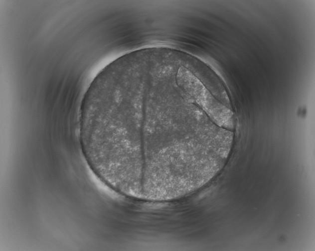 X0000112011143200909141119