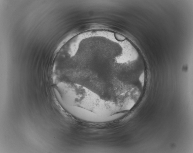 X0000112011145200909141119