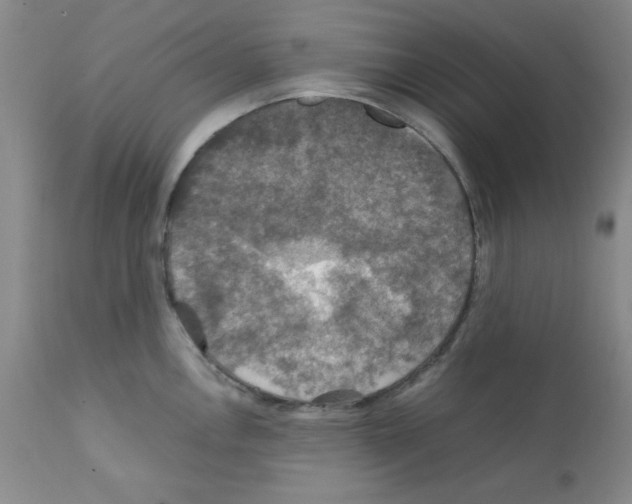 X0000112011146200909141119