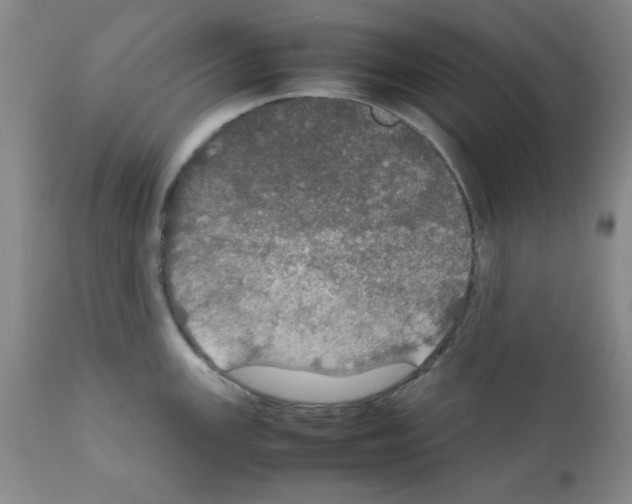 X0000112011147200909141119