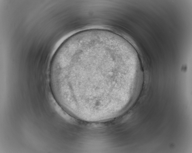X0000112011148200909141119