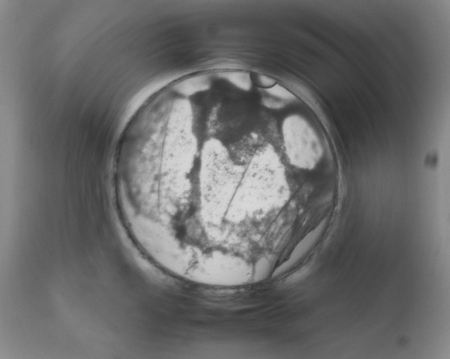 X0000112011149200909141119