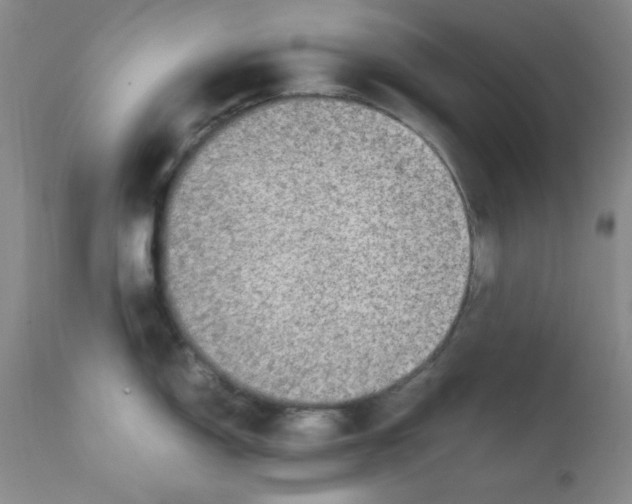 X0000112011150200909141119
