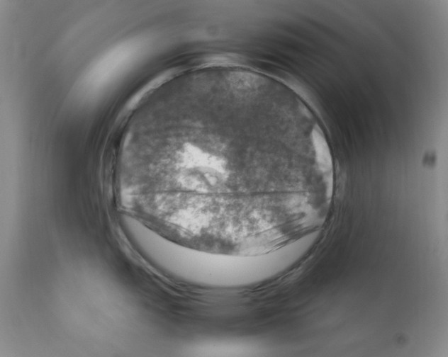 X0000112011151200909141119