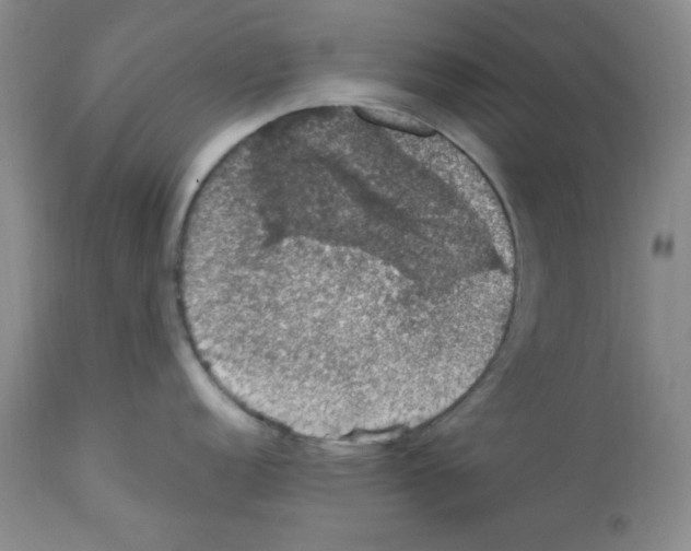 X0000112011152200909141119