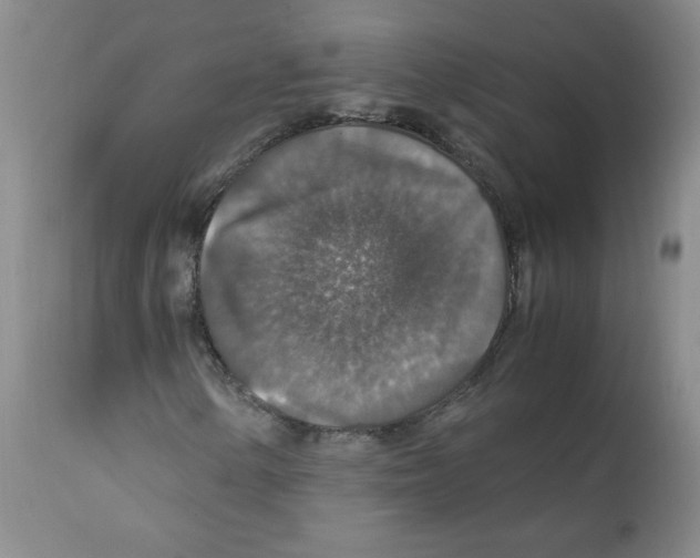 X0000112011154200909141119