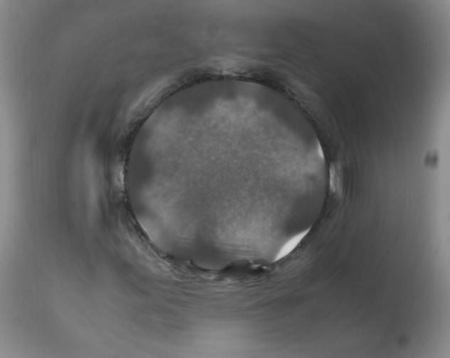 X0000112011155200909141119