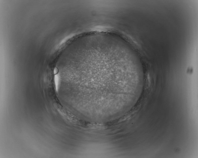 X0000112011158200909141119