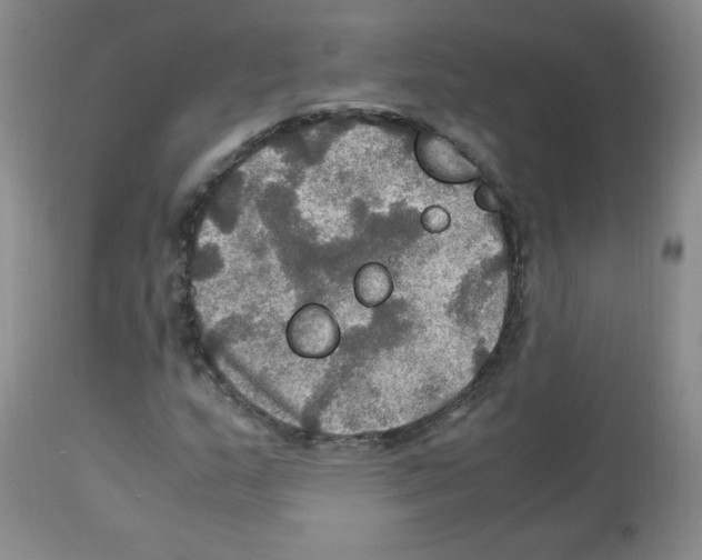 X0000112011159200909141119