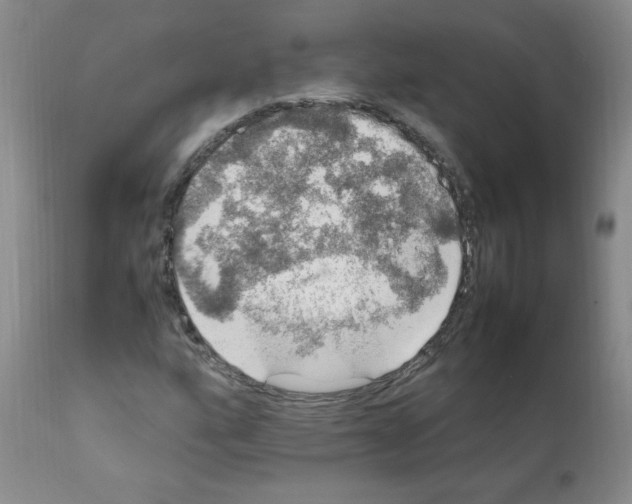 X0000112011160200909141119