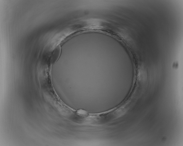 X0000112011161200909141119