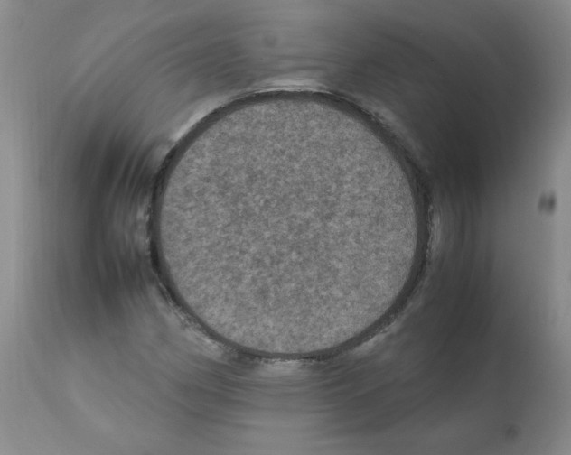 X0000112011162200909141119