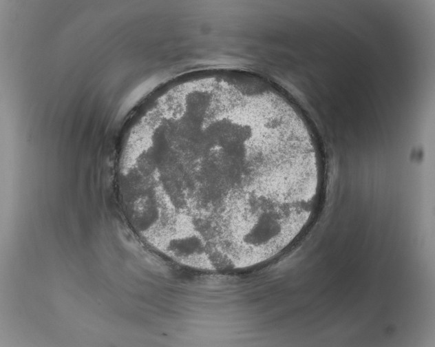 X0000112011163200909141119