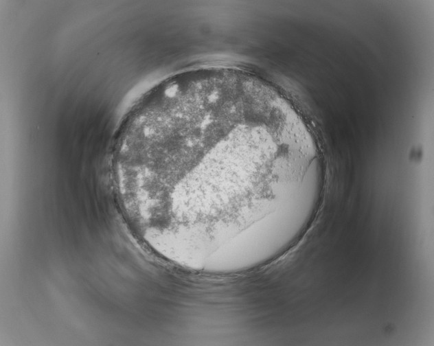 X0000112011164200909141119